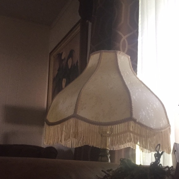 Meet your Posher, Cameron - Picture 1 of 1